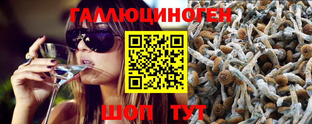 Псилоцибиновые грибы ЛСД  Вход с VPN  закладка  Псилоцибиновые грибы мухоморы  Печора 