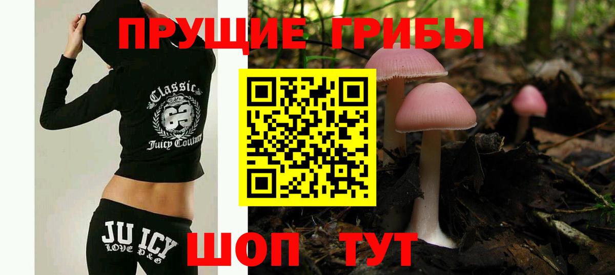 Галлюциногенные грибы прущие грибы Печора